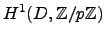 $ H^1 (D,
\mathbb{Z}/p\mathbb{Z})$